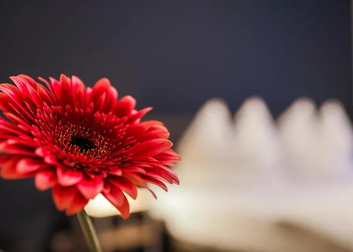 Hotel Monopol Hilden